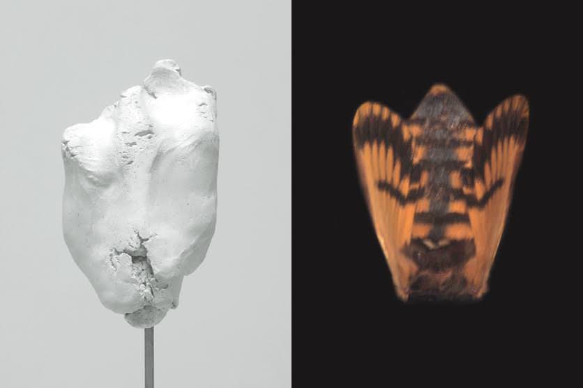 Tancredi Mangano – Del giardino terrestrehttps://www.exibart.com/repository/media/eventi/2016/04/tancredi-mangano-8211-del-giardino-terrestre.jpg