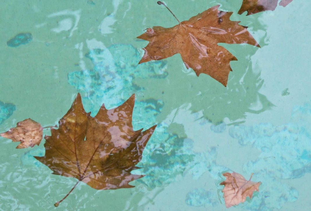 Vera Rossi – Transparency / Gianlorenzo Gasperini – Bronzeshttps://www.exibart.com/repository/media/eventi/2016/04/vera-rossi-8211-transparency-gianlorenzo-gasperini-8211-bronzes-1068x724.jpg