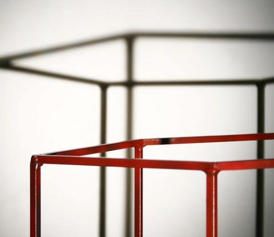 Anahi Angela Mariotti – Se non vedete segni o prodigi, non credete affatto