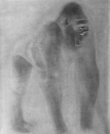 Ettore Pinelli – Slight fist