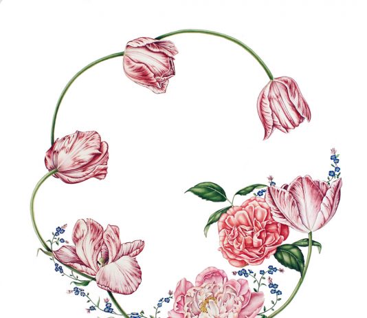Immaginario floreale. Disegni botanici di Roberta Mattioli  e decori floreali nelle ceramiche del Museo