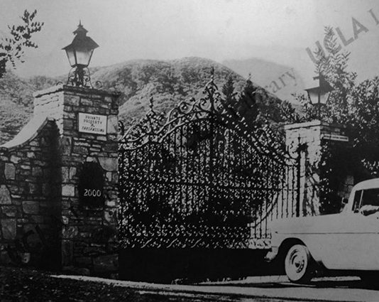 Marius Engh – Eschscholzia Californica Marius Engh – Eschscholzia Californica