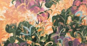 Mark Drusco – The gardens of the unknown