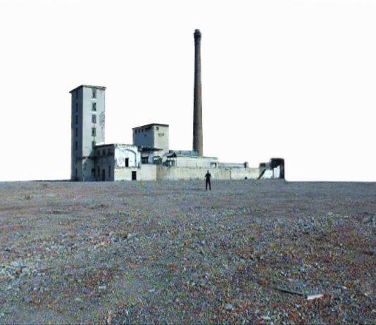 Patrizia Bonardi – melograno.pomegranate