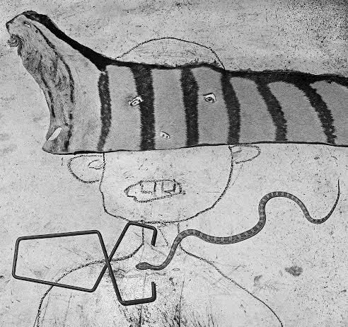 Roger Ballen – The House Project
