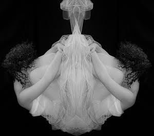 Stefania Vilardo – Crisalide