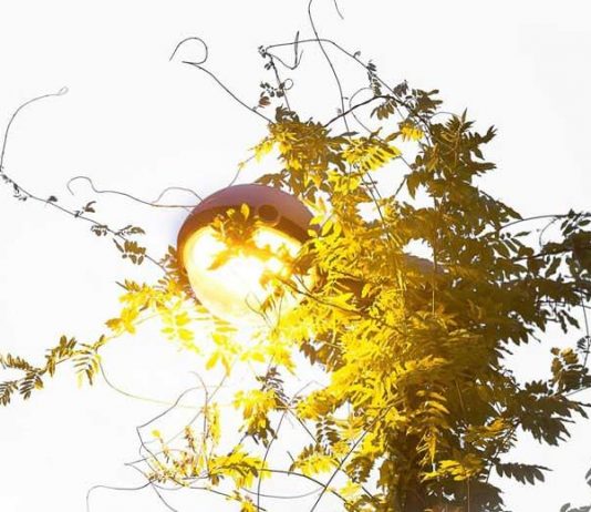 Yann Monel – La Fable du Jardin
