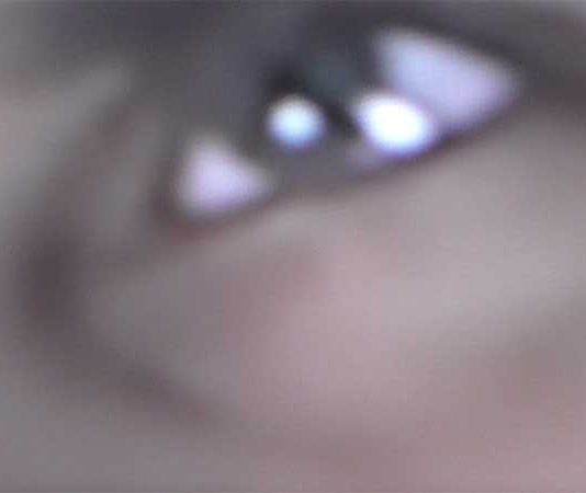 Andrea Papini – Consumano la terra le ombre