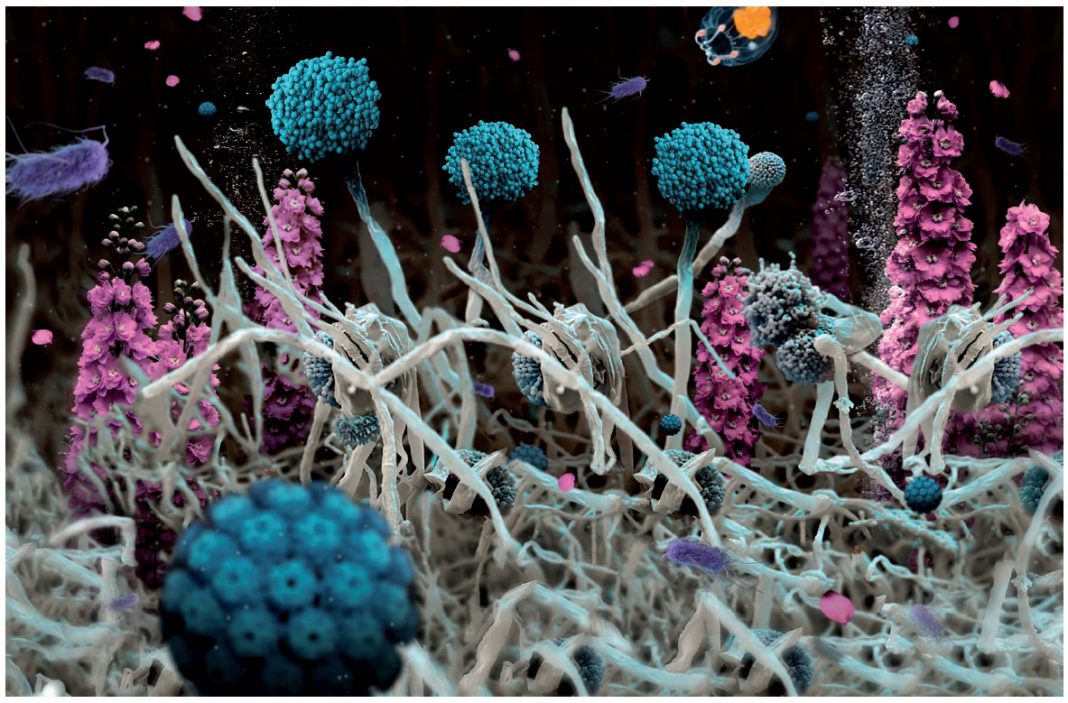 Aqua Aura – Neo Genesihttps://www.exibart.com/repository/media/eventi/2016/06/aqua-aura-8211-neo-genesi-1068x703.jpg