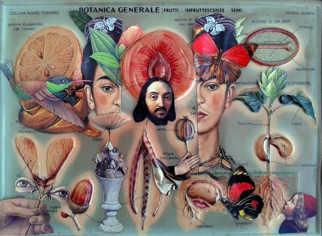 Ellen G. – Ulteriori mondihttps://www.exibart.com/repository/media/eventi/2016/06/ellen-g.-8211-ulteriori-mondi.jpg