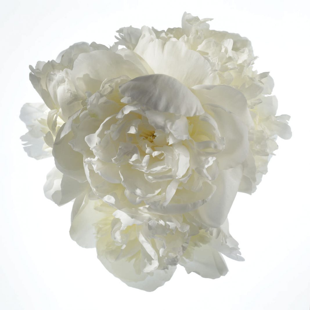 Fabio Zonta – Palingenesihttps://www.exibart.com/repository/media/eventi/2016/06/fabio-zonta-8211-palingenesi-1068x1068.jpg