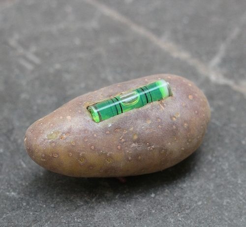 Nicolás Lamas  – The structure of the wild