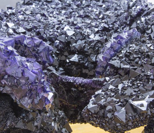 Antje Rieck – Stones & Roses