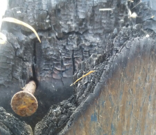 Davide Volponi – Receneration