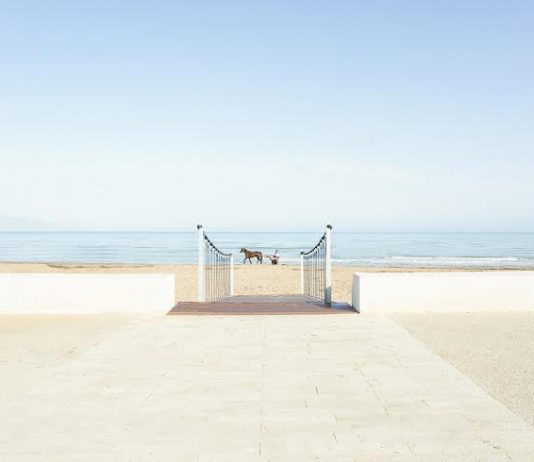 Mauro Filippi – Paesaggi visibili