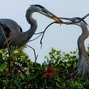 Simone Sbaraglia – A tu per tu con la Natura