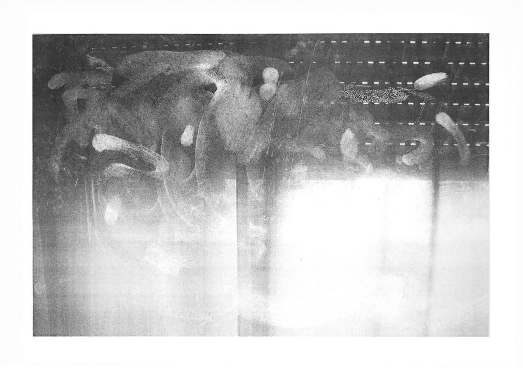 Summer Showhttps://www.exibart.com/repository/media/eventi/2016/07/summer-show-1068x752.jpg