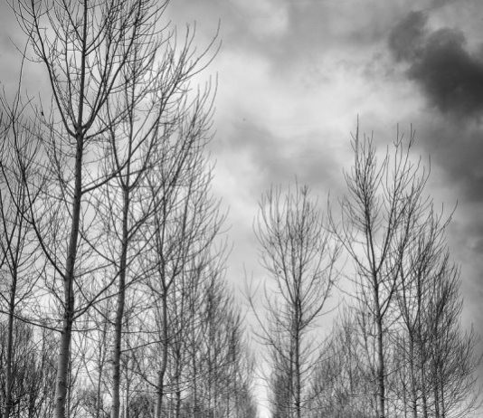 Alessandro Passerini – Little Human Artworks