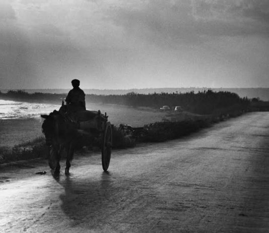 Giuseppe Leone – Sicilia tra luce e parola