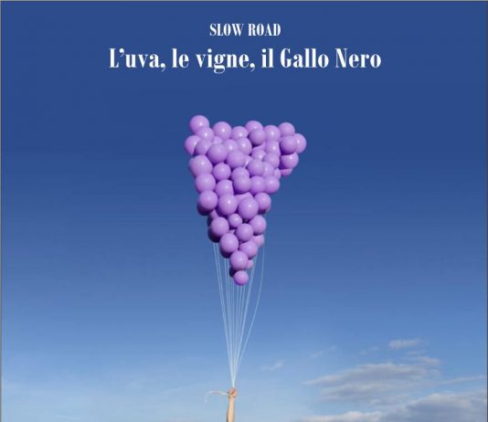 Jairo Alvarez – L’uva, le vigne, il Gallo Nero