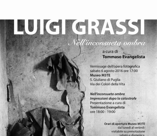 Luigi Grassi – Nell’inconsueta ombra