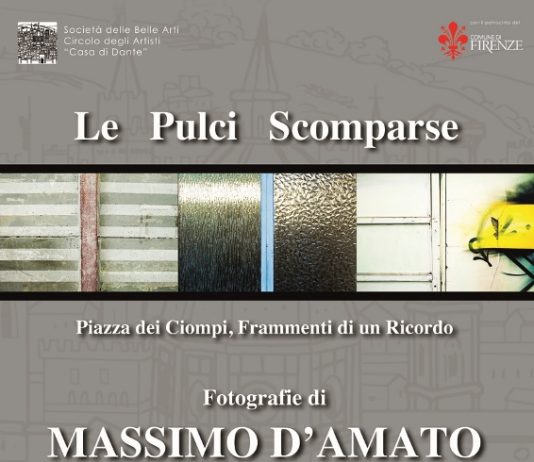 Massimo D’Amato – Le pulci scomparse