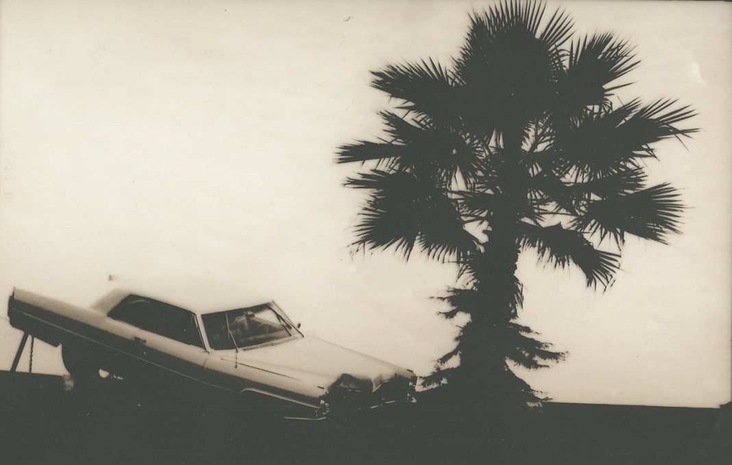 Pat O’Neill – Solo Showhttps://www.exibart.com/repository/media/eventi/2016/08/pat-o8217neill-8211-solo-show-1068x679.jpg