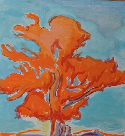 Aldo Pecoraino – Selvagge Nature e fuochi Aldo Pecoraino – Selvagge Nature e fuochi