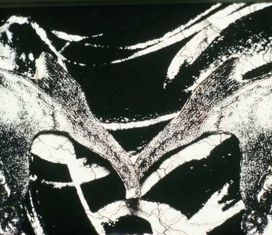 Curtis Anderson – Zweisamkeit Curtis Anderson – Zweisamkeit