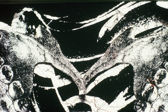 Curtis Anderson – Zweisamkeithttps://www.exibart.com/repository/media/eventi/2016/09/curtis-anderson-8211-zweisamkeit.jpg