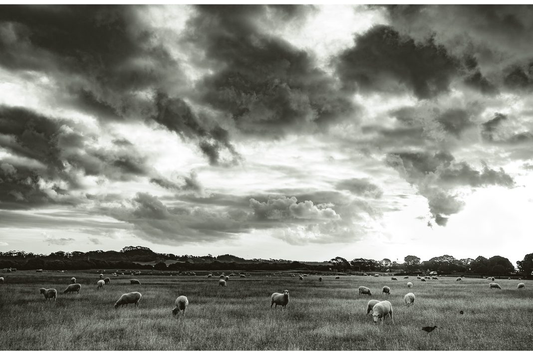 Iacopo Celano – Antipodihttps://www.exibart.com/repository/media/eventi/2016/09/iacopo-celano-8211-antipodi-1068x712.jpg