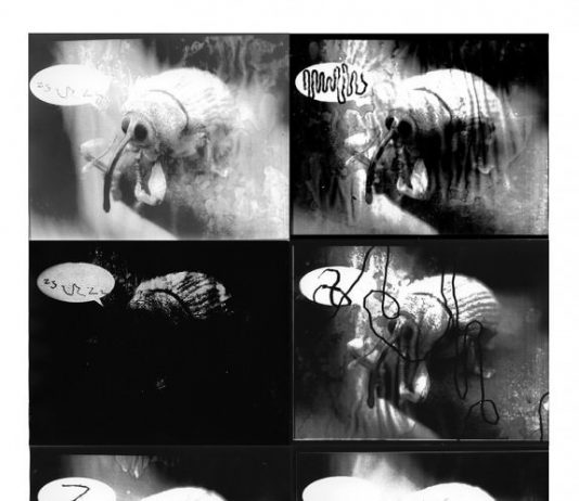 Jay Heikes – No future ism