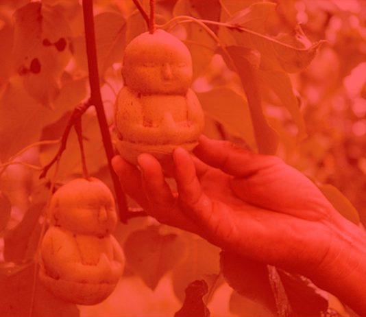 Marco Giordano – asnatureintended