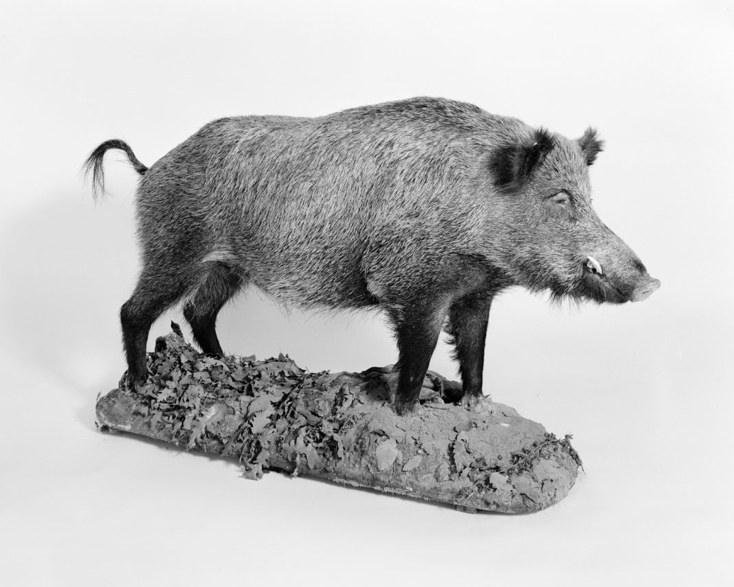 Monte Infernohttps://www.exibart.com/repository/media/eventi/2016/09/monte-inferno-1068x854.jpg