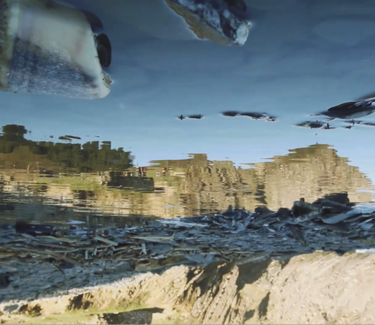 9° PROYECTOR Festival Madrid