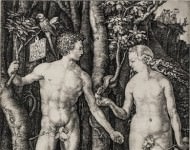 Albrecht Dürer – Come avrò freddo dopo tutto quel sole…