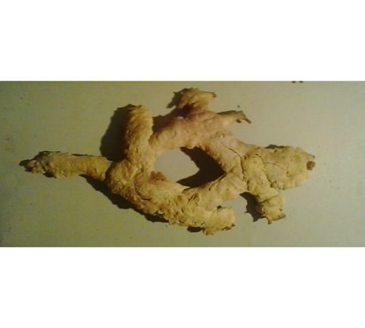 Arte & Natura #4: Nutrimenti Spiritualihttps://www.exibart.com/repository/media/eventi/2016/10/arte-038-natura-4-nutrimenti-spirituali.jpg