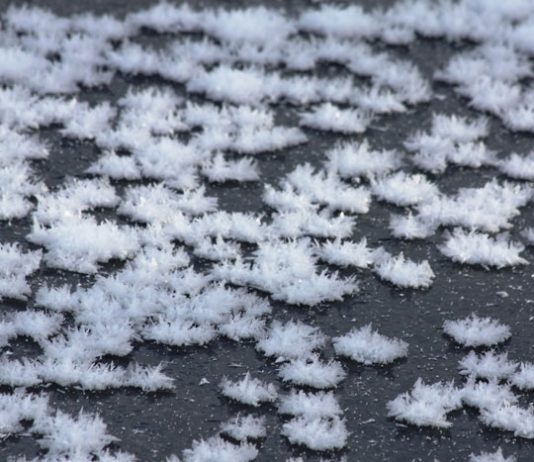 Elena Cantaluppi – AcquadueO