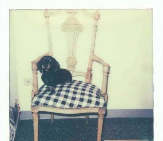 Francesca Calvaresi – Citofonare CG. Ritratti di artisti in un interno. Francesca Calvaresi – Citofonare CG. Ritratti di artisti in un interno.