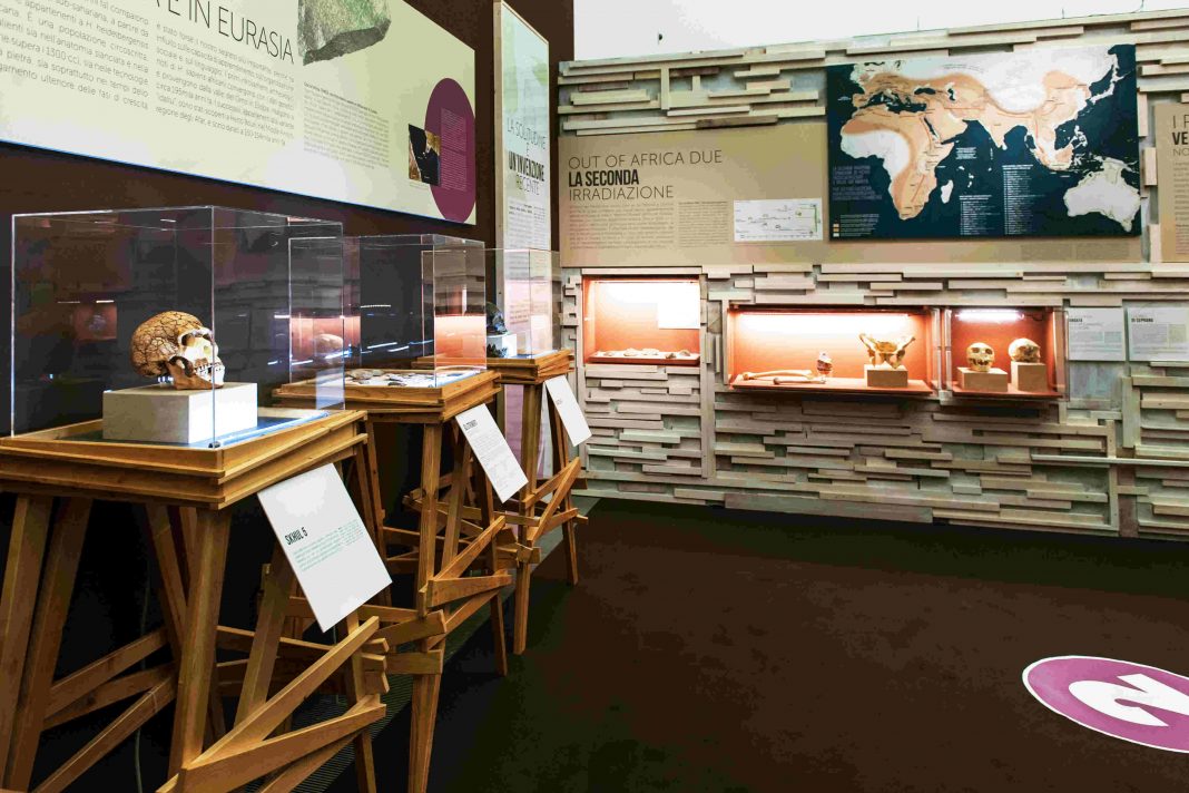 Homo sapiens. Le nuove storie dell’evoluzione umana.https://www.exibart.com/repository/media/eventi/2016/10/homo-sapiens.-le-nuove-storie-dell’evoluzione-umana-1068x712.jpg