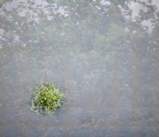 Luca La Via – Effrazioni e diffrazioni Luca La Via – Effrazioni e diffrazioni