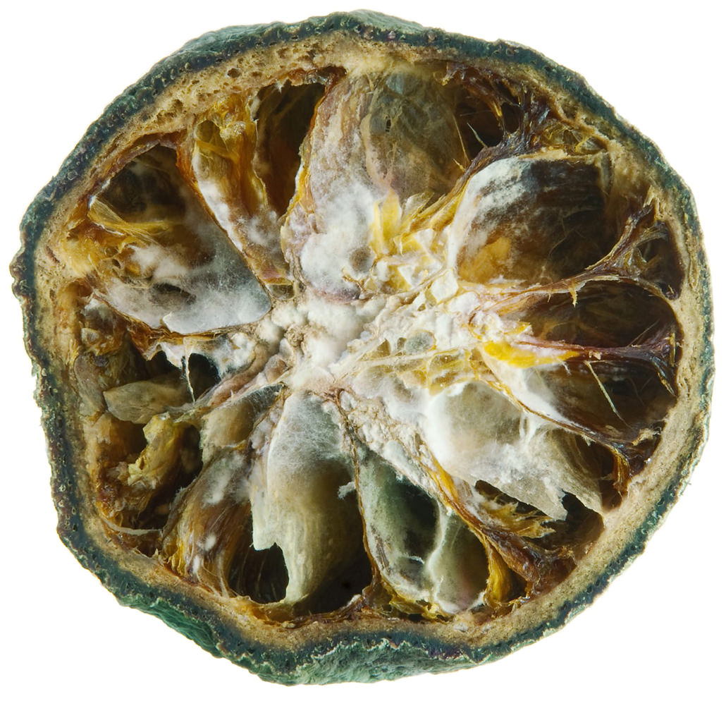 Massimo Golfieri – Transitihttps://www.exibart.com/repository/media/eventi/2016/10/massimo-golfieri-8211-transiti.jpg