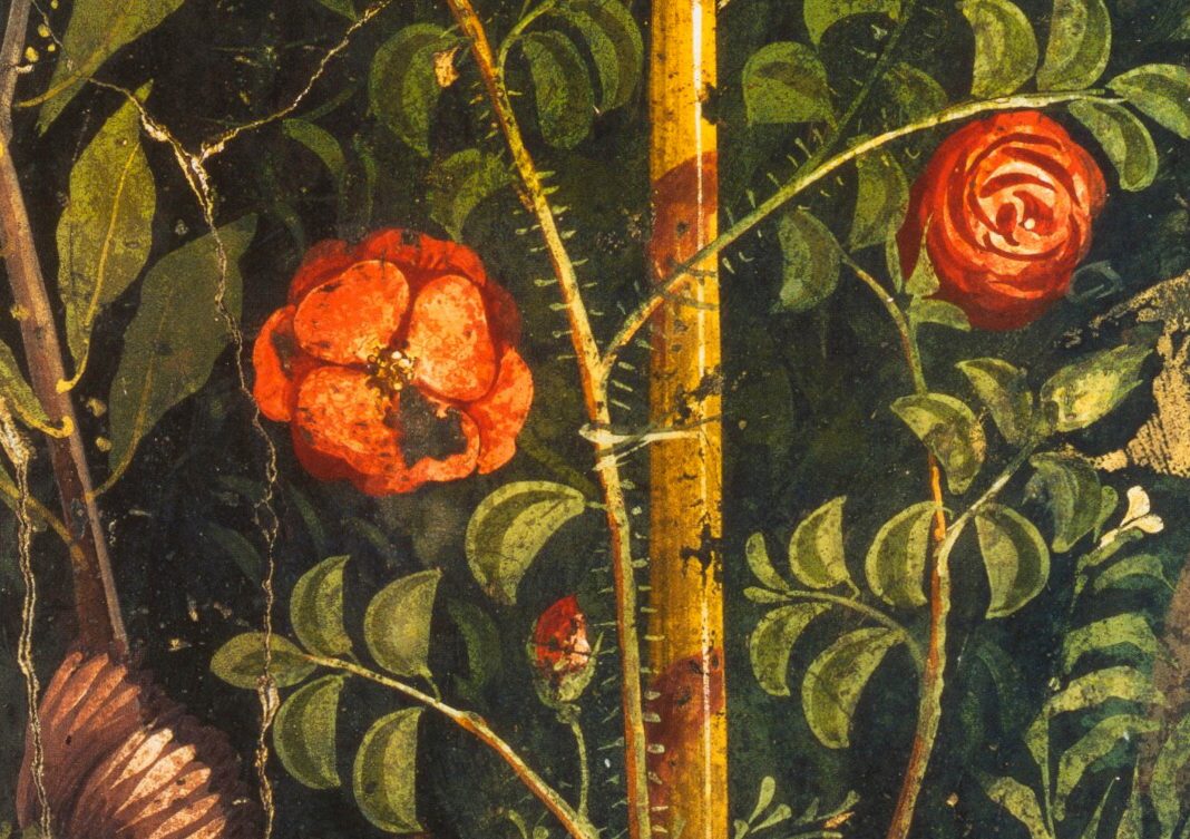 Non amo che le rose che non colsihttps://www.exibart.com/repository/media/eventi/2016/10/non-amo-che-le-rose-che-non-colsi-1068x753.jpg