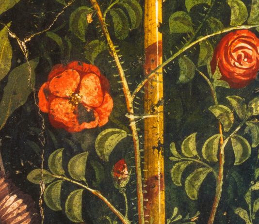 Non amo che le rose che non colsi