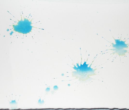 Uemon Ikeda – Il “MA”