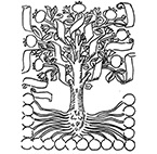 Alessandro Bosetti – Plane/Talea #7 (Regular Measures)