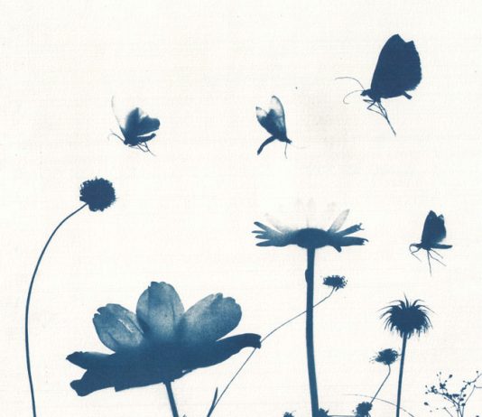 Alice Serafino – Aspettando il sole e l’aria e l’ombra