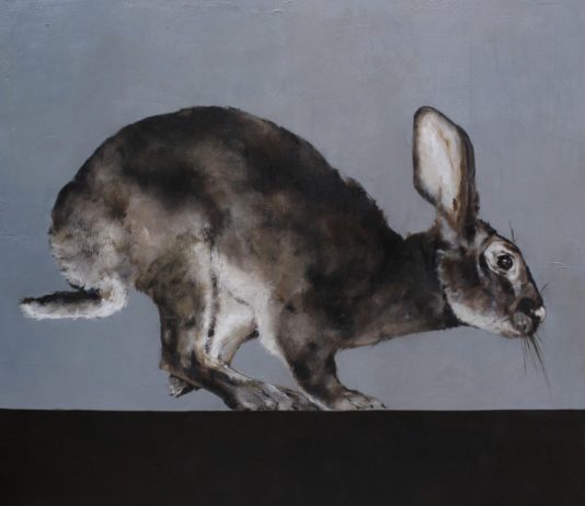 Costanza Alvarez de Castro – Natura in scena