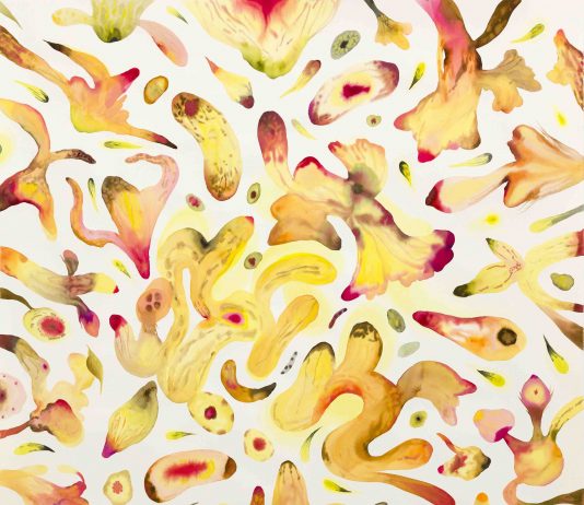 Isabella Nazzarri – Vita delle forme