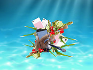 Mara Oscar Cassiani – #wifispirit